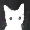 ben_henriquee