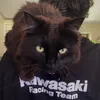 iwantanr1
