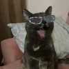 pet_olivia