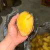 _au.____