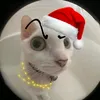 dfontenelee