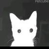 michelerbri