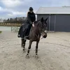 carlasofie_showjumper