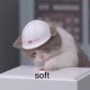qtcrunk