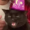 angrycheese