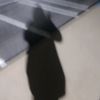 cassiethecat102