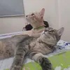rubio_and_mei
