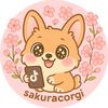 sakuracorgi