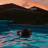 fridaarildzen
