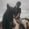 x.equine.saira.x