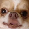 evil_s0up