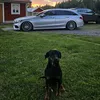 gustafliljemark