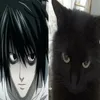 mo.sur.tiktok