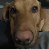 jenna4444
