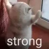 tchono7