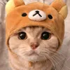 sophi.rezendee