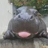 meisclarice
