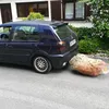 kev_1003