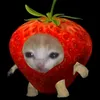 annie_fpaot