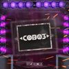 cobo3_dj