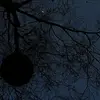 mochi_ag2