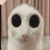 4utom4tic