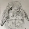 drawinglife_