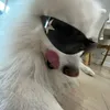 ranielesousa2