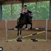 queen_of_horses.1212