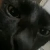 fe_zzz_