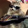 thepartyrocker