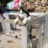 radu124catalin
