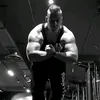 royaltsxxl
