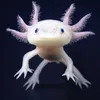 meme_goat1234