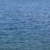 _teetasse_123