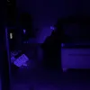 kotek_tumtum