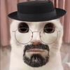 racgel_loser
