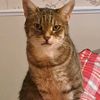 _puddy321