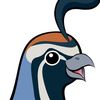 the_quail