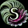 thestellanailtech