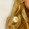 ____lolita___