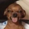2awake2sleepy