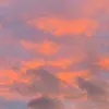 3random_account4