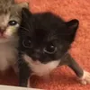 uh.marnie.mae