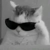 natashamongada