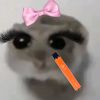 bluemalibu_