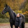 dvhorse