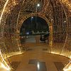 fatmaashraf15