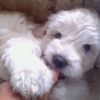 alva_04me