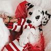 foxlover146